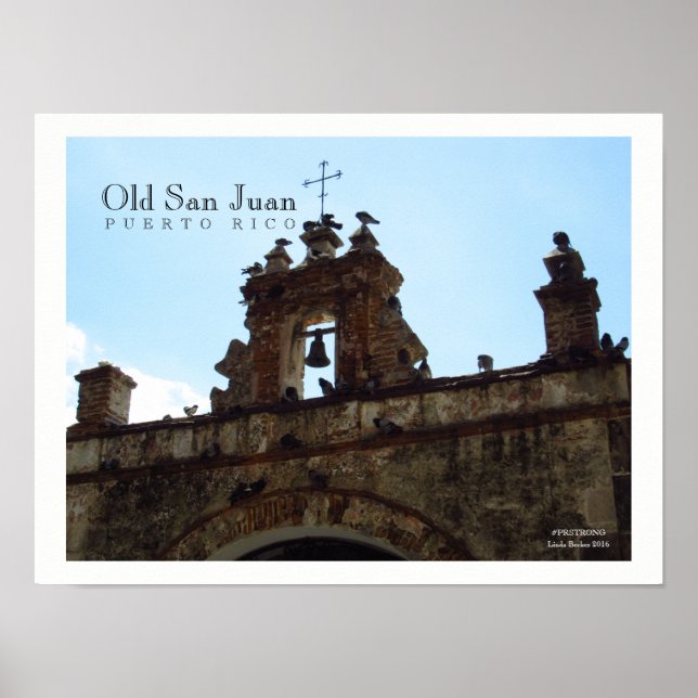 Fåglar vid Old San Juan Puerto Rico Poster (Framsidan)