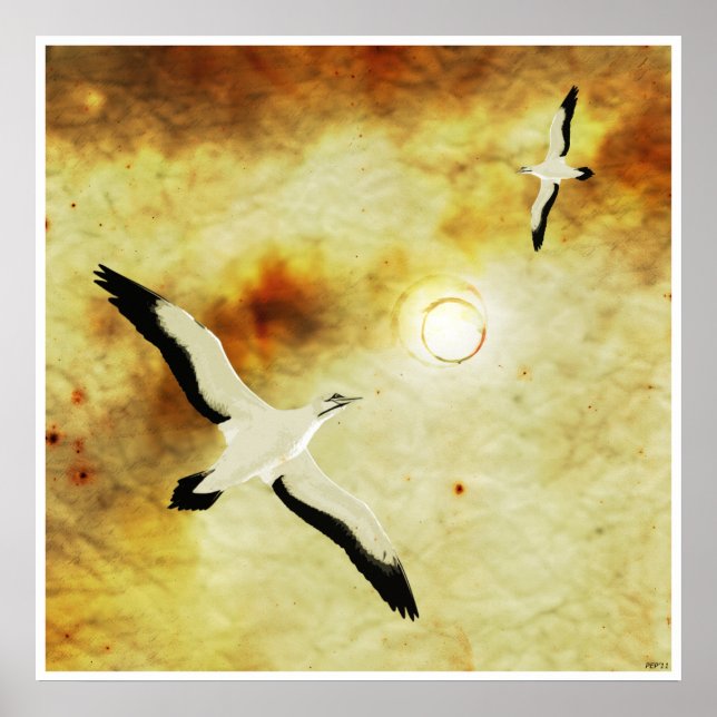 Fåglar vid Sol Poster (Framsidan)