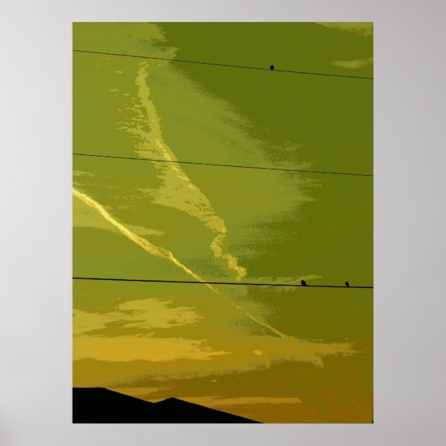 Fåglar vid solnedgång poster (Framsidan)