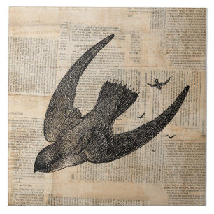 Fåglar Vintage Bird Art Kakelplatta