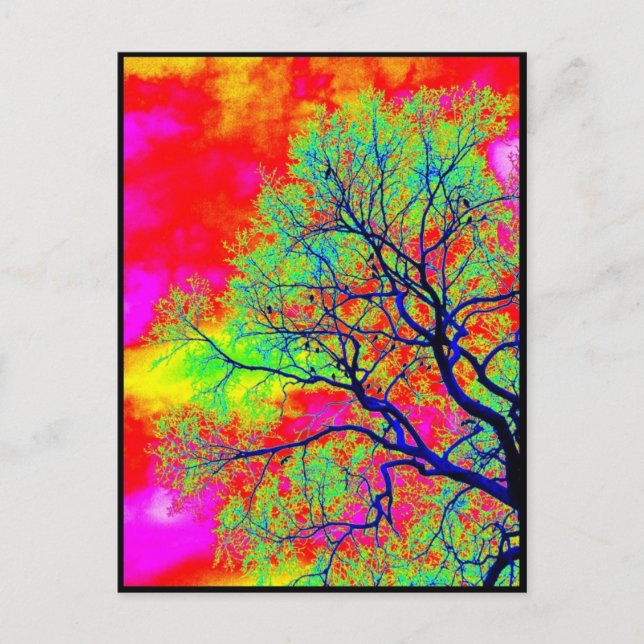 Fåglar Vykort (Framsida)