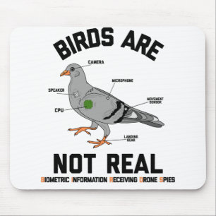 Fåglarna är inte äkta Spy Pigeon-munnen Musmatta