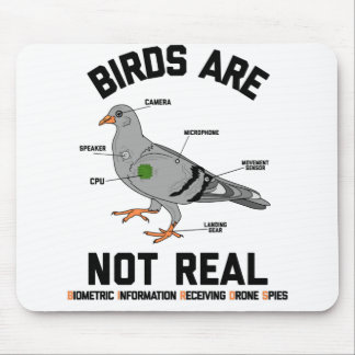 Fåglarna är inte äkta Spy Pigeon-munnen Musmatta