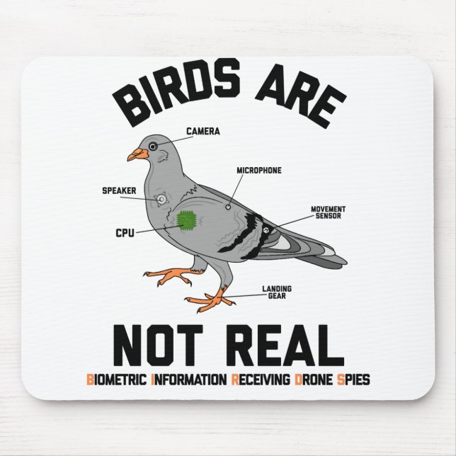 Fåglarna är inte äkta Spy Pigeon-munnen Musmatta (Framsidan)