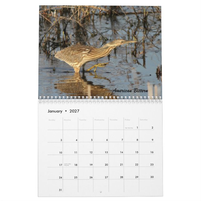 Fåglarna av Forsythe II Kalender (Jan 2027)