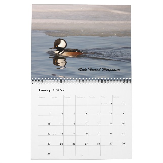 Fåglarna av Forsythe Kalender (Jan 2027)