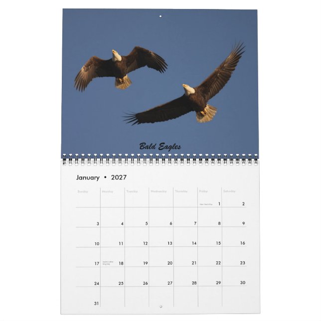 Fåglarna av Forsythe - officiell fristadkalender Kalender (Jan 2027)