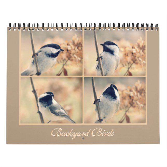 Fåglarna i din trädgårdkalender kalender (Omslag)