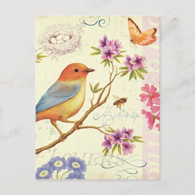 Fåglarna och Bina Vykort (Framsida)