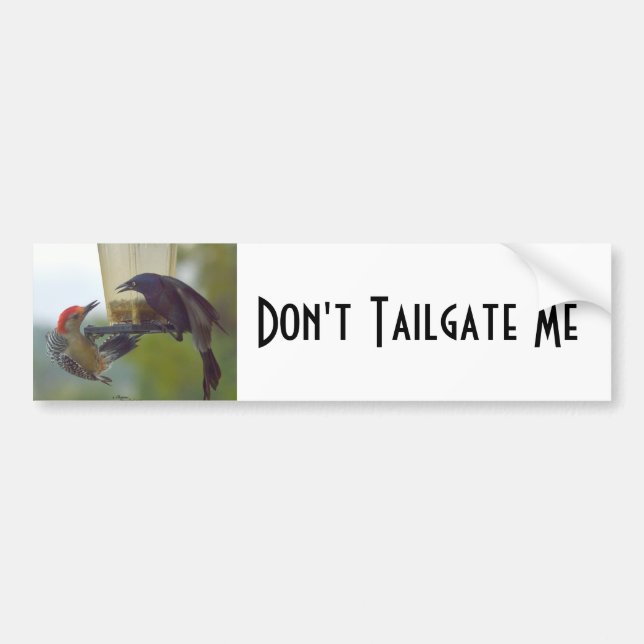 Fåglarna Tailgate Me Bumper Sticker Bildekal (Framsidan)