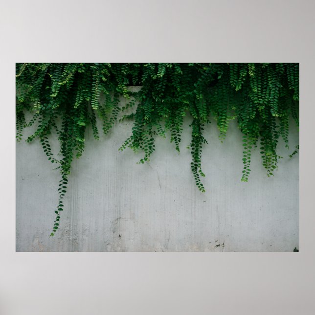 FÅGVÄXTFOTOT I FÅGVÄXTER POSTER (Framsidan)