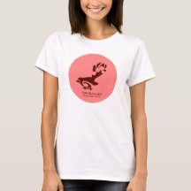 Faintail Nya Zeeland Aotearoa Bird