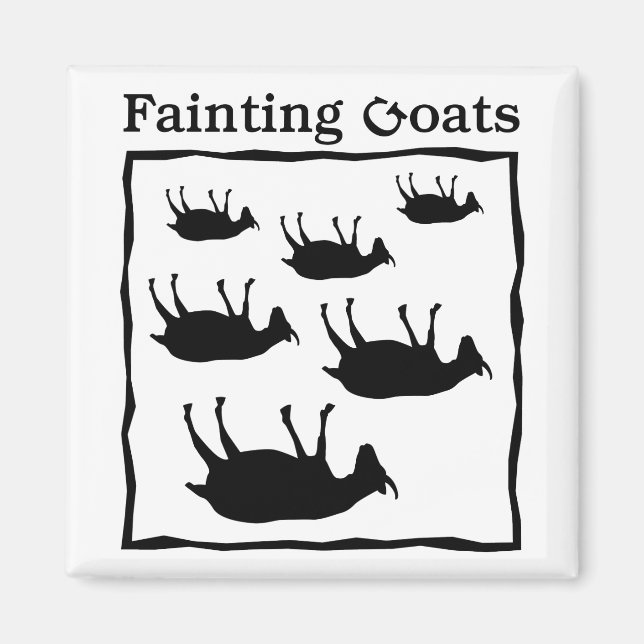 Fainting Goats Magnet (Framsidan)