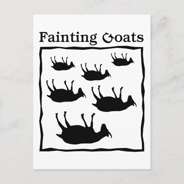 Fainting Goats Vykort (Framsida)