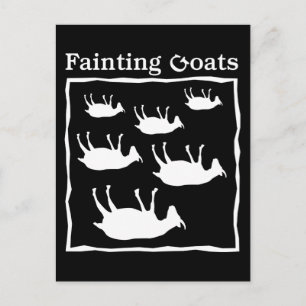 Fainting Goats Vykort