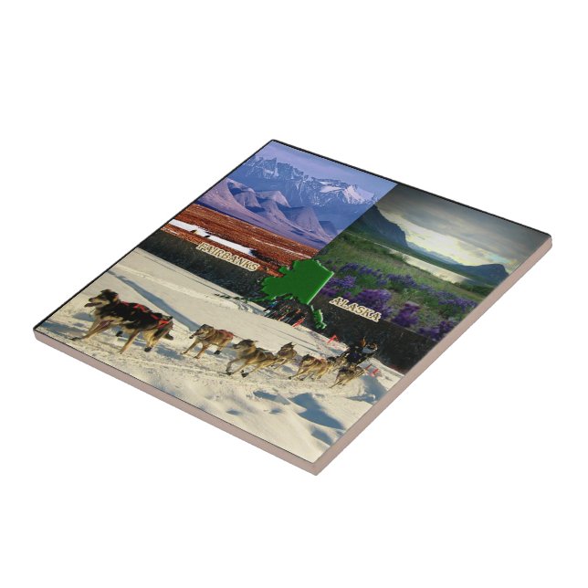 Fairbanks, Alaska Collage Kakelplatta (Sidan)