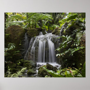 Fairchild är den tropiska botanisk trädgård en 33 poster