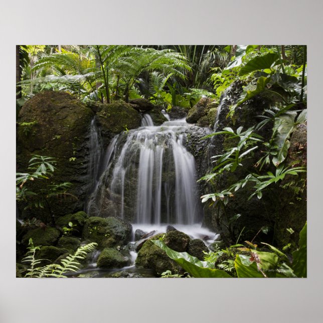 Fairchild Tropical Botanic Garden är en 33 ha (83  Poster (Framsidan)