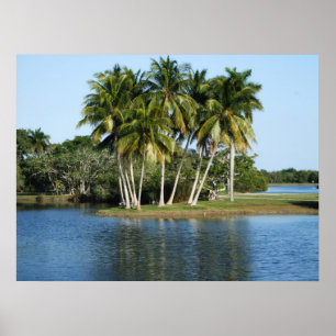 Fairchild Tropical Botanic Gardens Poster