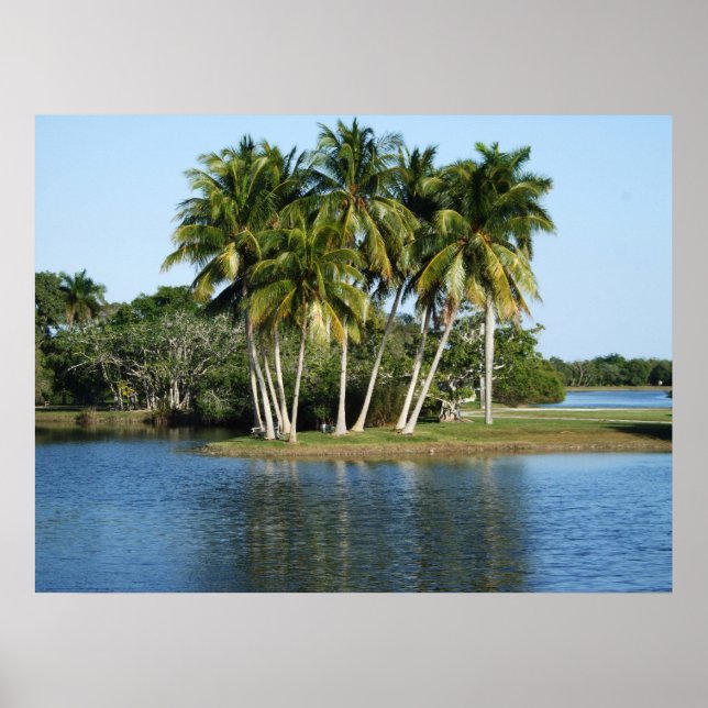 Fairchild Tropical Botanic Gardens Poster (Framsidan)