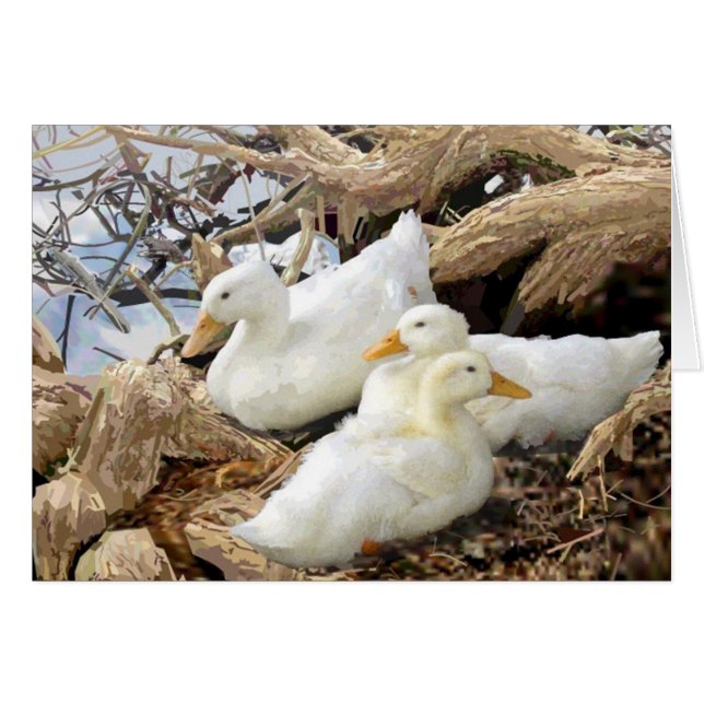 Fairmount Park Anka Family Greeting Card Hälsningskort (Framsidan Horizontal)