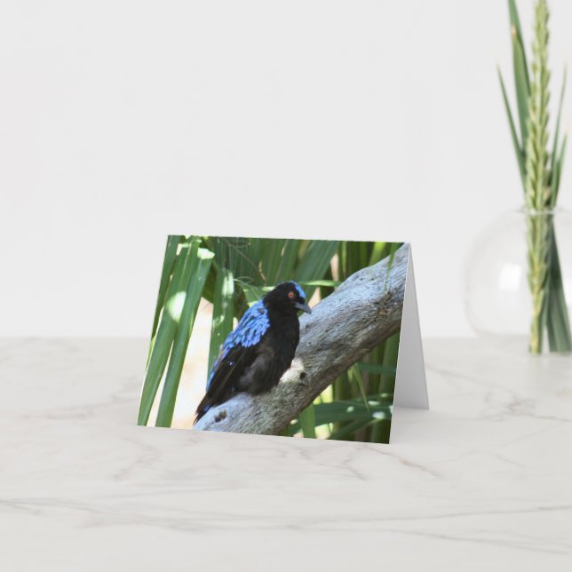 Fairy Bluebird Photo Folant Note Card Anteckningskort (Framsida)