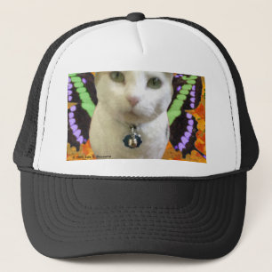 Fairy Cat Hat Keps