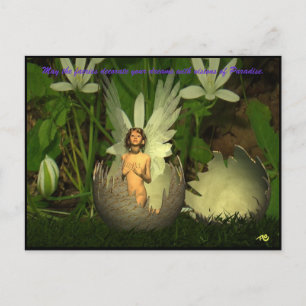 Fairy Dreams Postcard Vykort