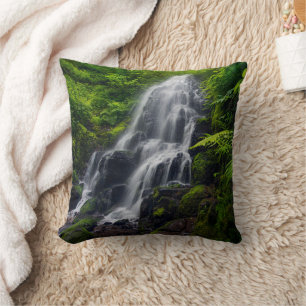 Fairy Falls Colombiaflodens kanjon Oregon. Kudde