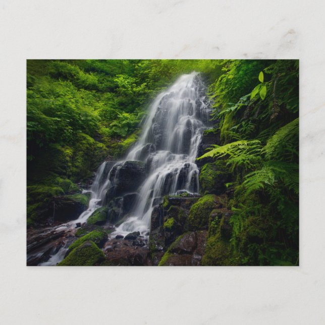 Fairy Falls | Colombiaflodens kanjon Oregon. Vykort (Framsida)