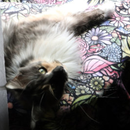 Fairy Garden Gardening Flower Gardens Fairies      Fleecefilt