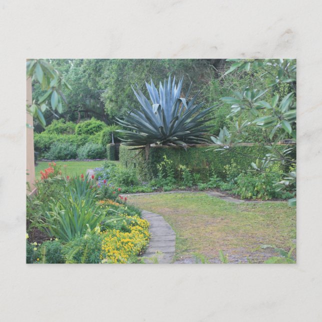 Fairy Garden Vykort (Framsida)