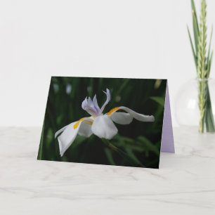 "Fairy iris" GREETING CARD Kort