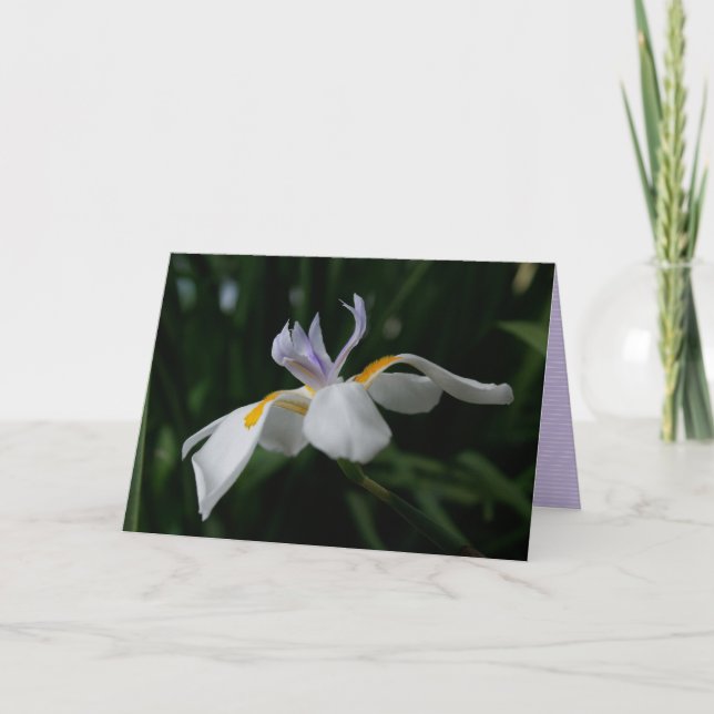 "Fairy iris" GREETING CARD Kort (Framsida)
