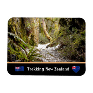 Fairy Jungle, Kiwi trekking/New Zealand Magnet