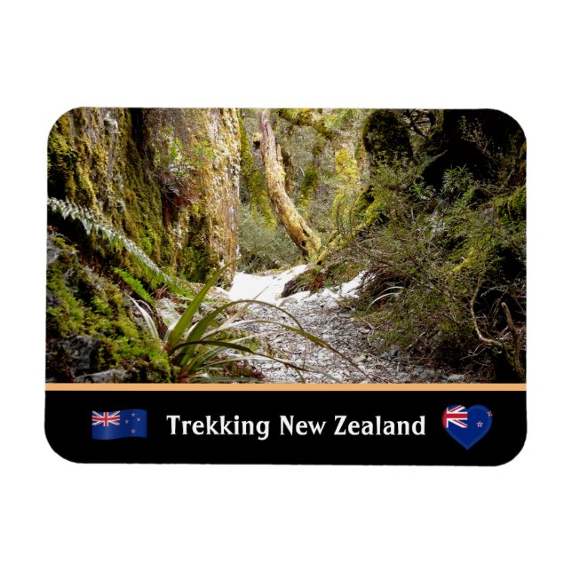 Fairy Jungle, Kiwi trekking/Nya Zeeland Magnet (Horisontell)