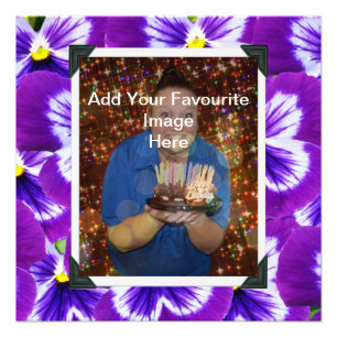 Fairy Lila Fairy Pansies, Photo Ram Plaque Fototryck