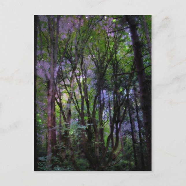 Fairy Ljus Surreal Forest Vykort (Framsida)