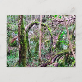 Fairy Portal - Rio de Mouros - Conímbriga - PT Vykort