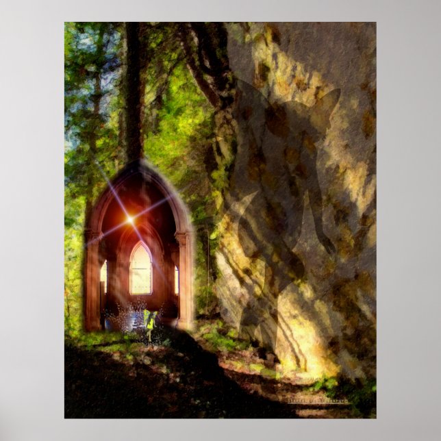 Fairy Shadow Poster (Framsidan)