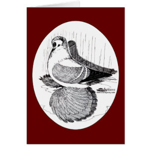 Fairy Svälj Pigeon 1978 OBS Kort