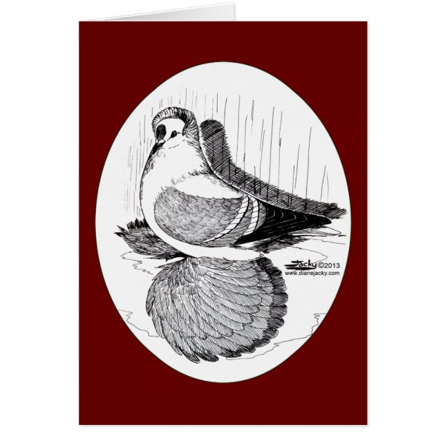 Fairy Svälj Pigeon 1978 OBS Kort (Framsidan)