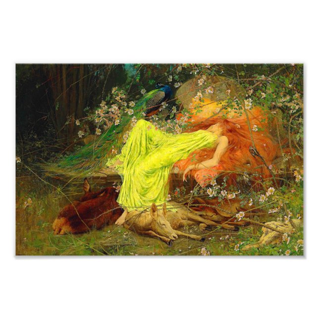 Fairy Tale Arthur Wardle Fototryck (Framsidan)