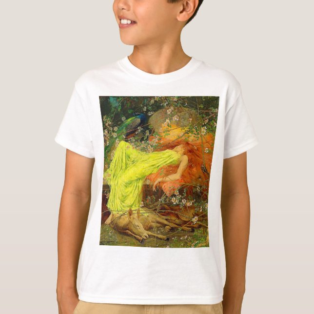 Fairy Tale Arthur Wardle T Shirt (Framsida)