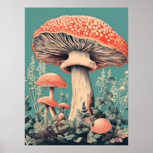Fairy Tale Fungi Poster (Framsidan)