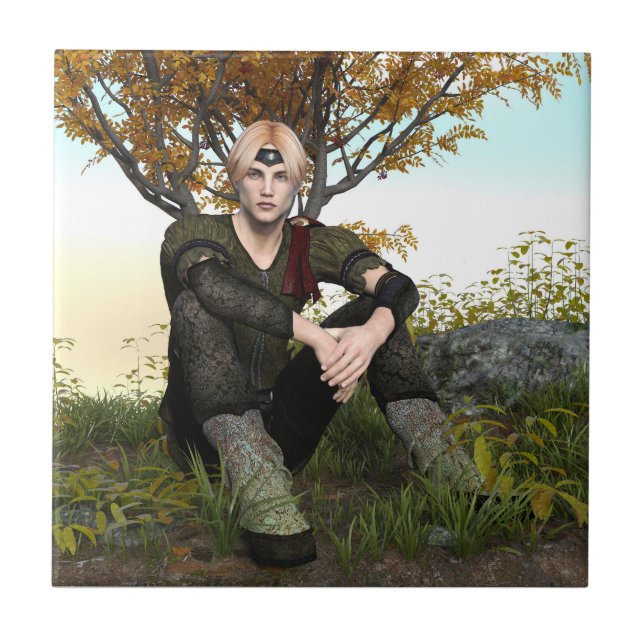 Fairy Tale Prince Kakelplatta (Framsidan)