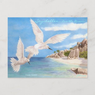 Fairy Terns Vykort
