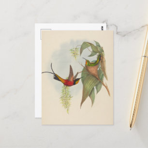 Fairy Topaz John Gould Vykort