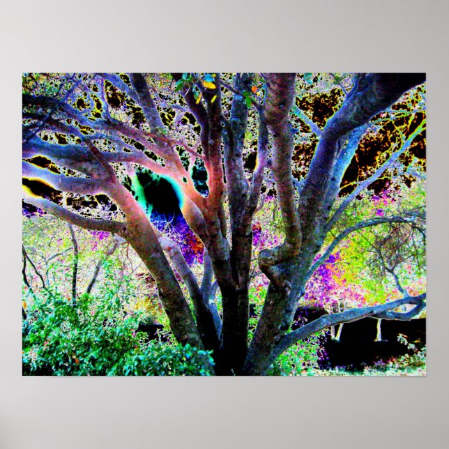 Fairy Träd Poster (Framsidan)