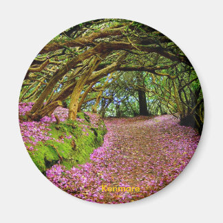 Fairy Tunnel, Kenmare Magnet